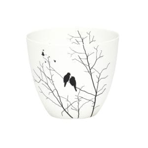 Photophore - Oiseaux