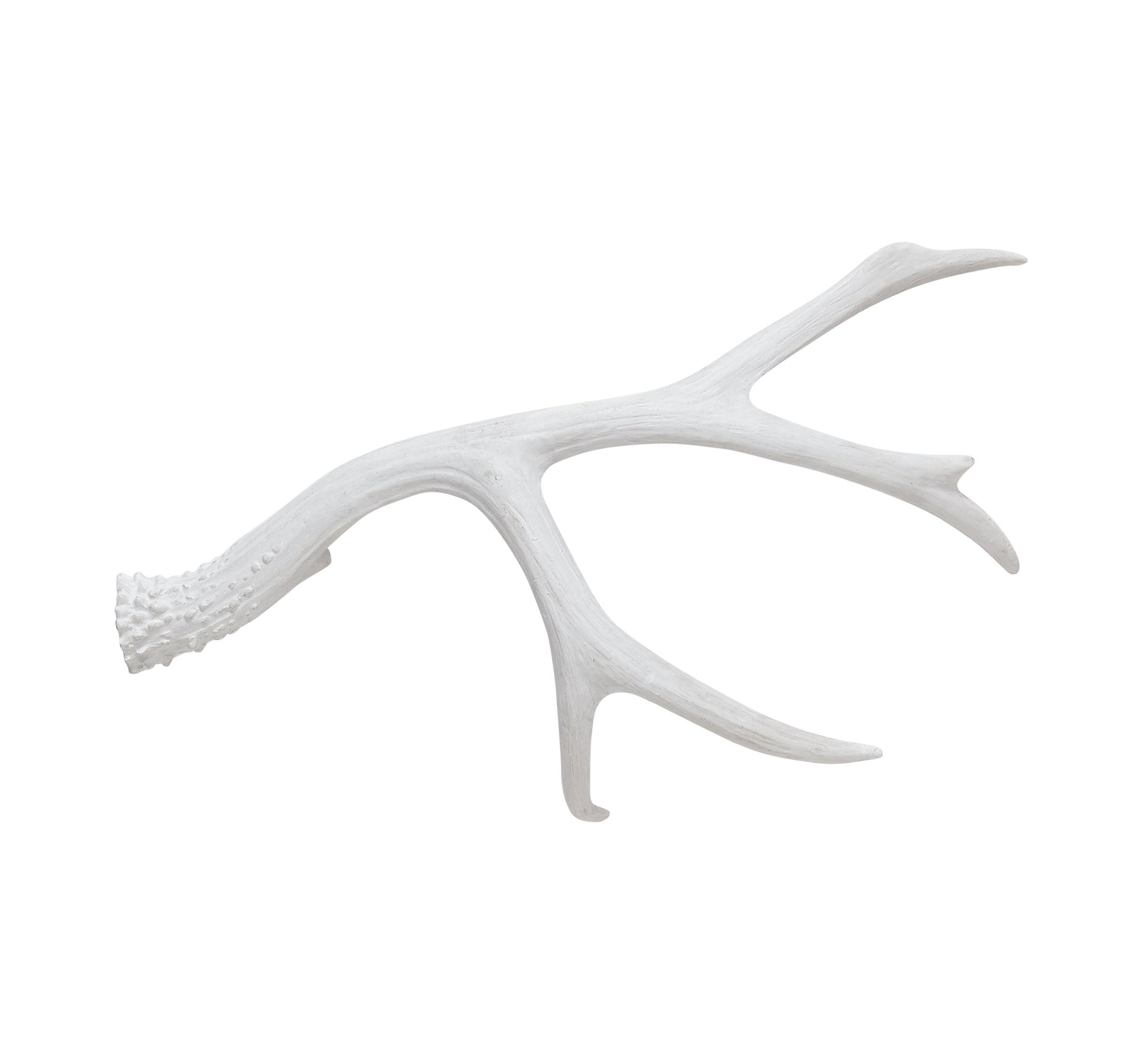 Deco Bois De Cerf Hubsch Songes