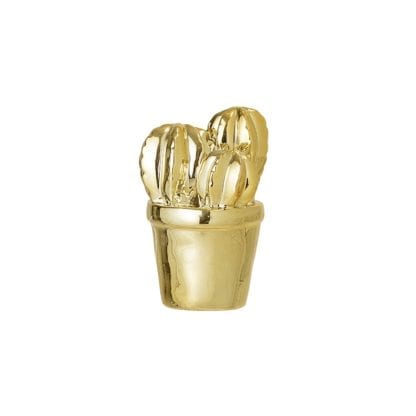 Cactus mini - Doré