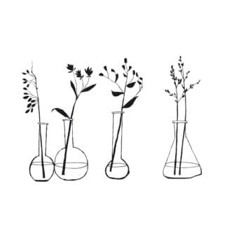 Sticker - Branchettes