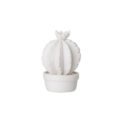 Cactus mini - Blanc