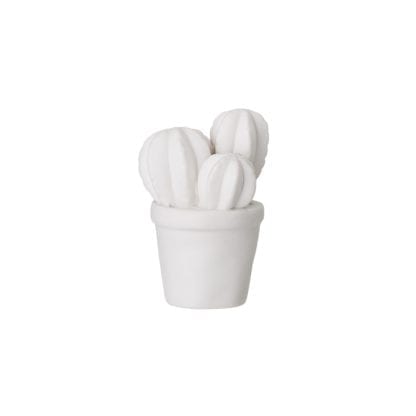 Cactus mini - Blanc