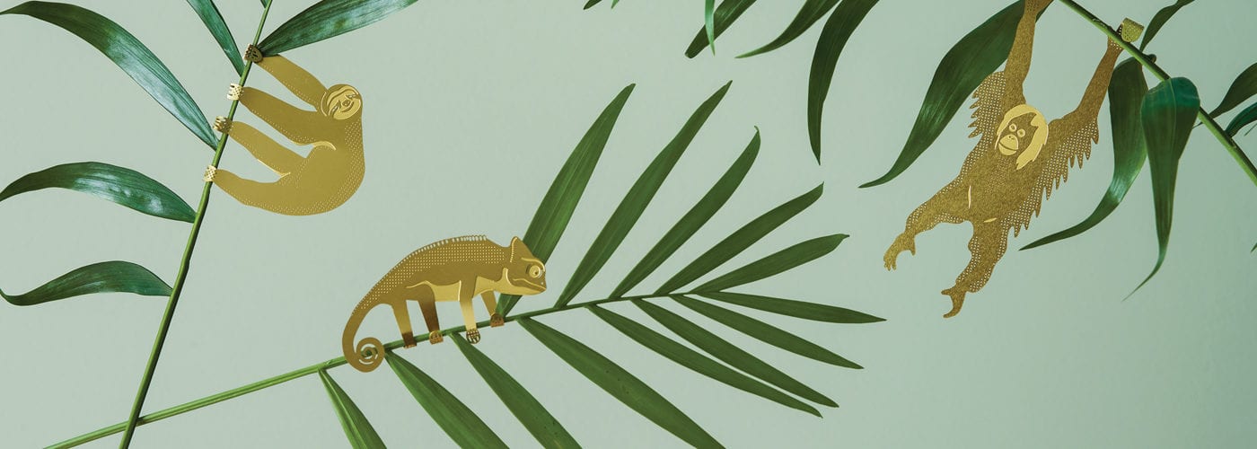 Youpi, c'est
le printemps !