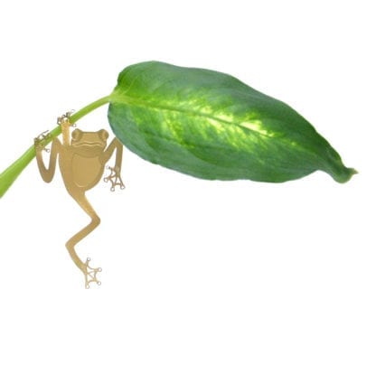 Déco pour plante - Grenouille