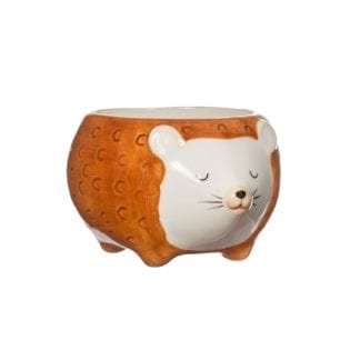 Cache-pot – Hérisson brun