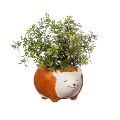 Cache-pot – Hérisson brun