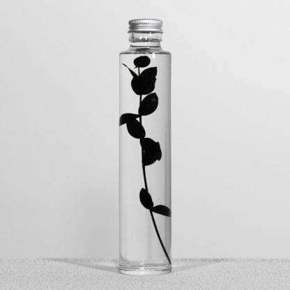 Plante en fiole M - Spécimen 16