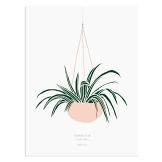 Affiche A3 – Plante suspendue
