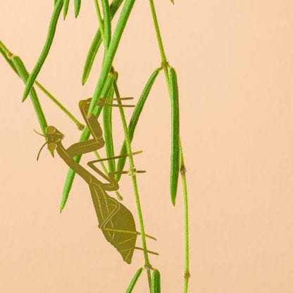 Déco pour plante - Mante religieuse