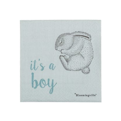 Serviettes - It's a boy