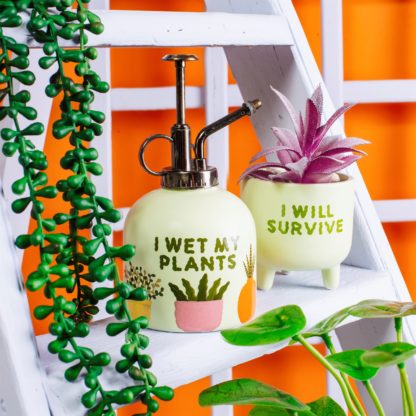 Brumisateur pour plantes - I Wet My Plants