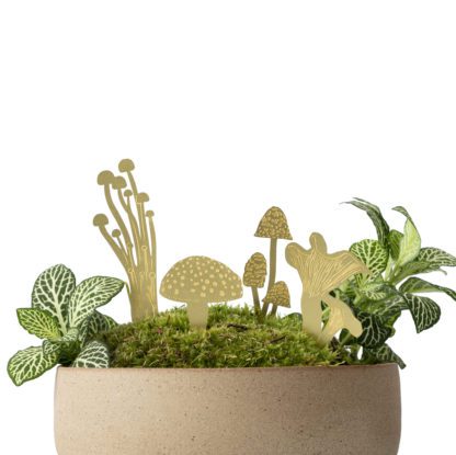 Déco pour plante - Champignons