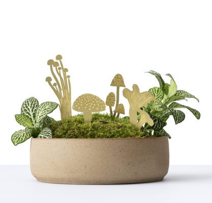 Déco pour plante - Champignons