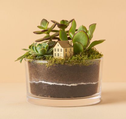 Déco pour terrarium - Mini maison