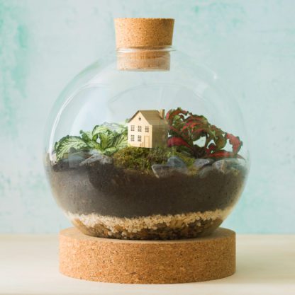 Déco pour terrarium - Mini maison