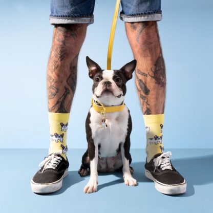 Chaussettes - Bouledogue