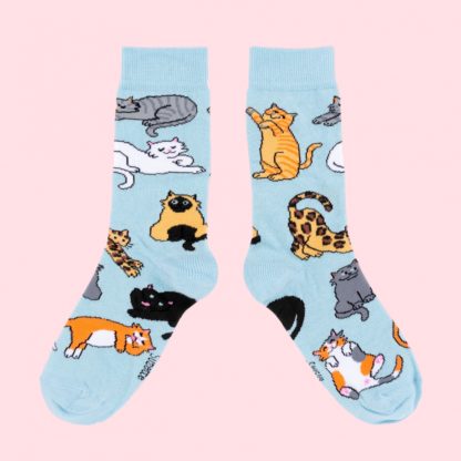 Chaussettes - Miaou