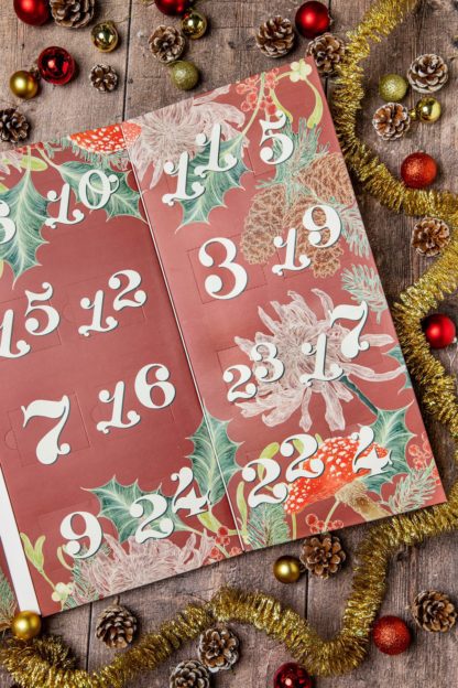 Calendrier de l'Avent - Thés (24pcs)
