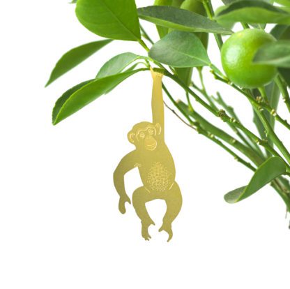 Déco pour plante - Singe chimpanzé