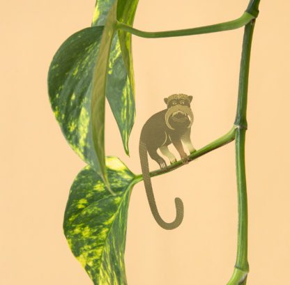 Déco pour plante - Singe tamarin