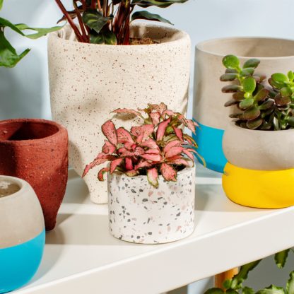 Cache-pot mini - Terrazzo S