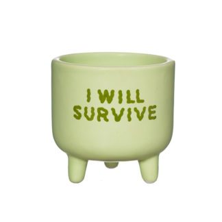 Cache-pot mini - I Will Survive