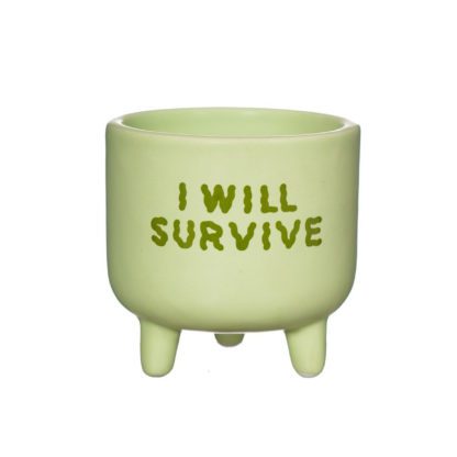 Cache-pot mini - I Will Survive