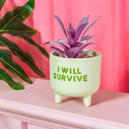 Cache-pot mini - I Will Survive