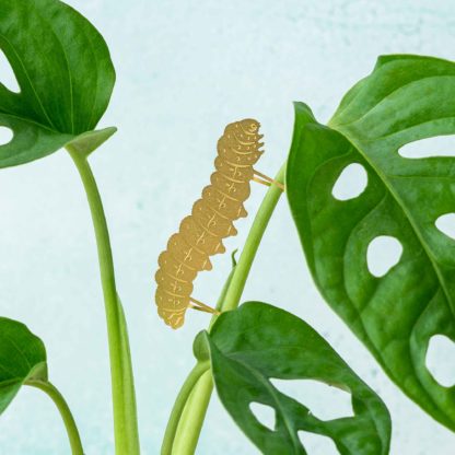 Déco pour plante - Chenille