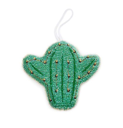 Éponge – Cactus