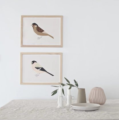 Affiche A4 – Oiseau Moineau