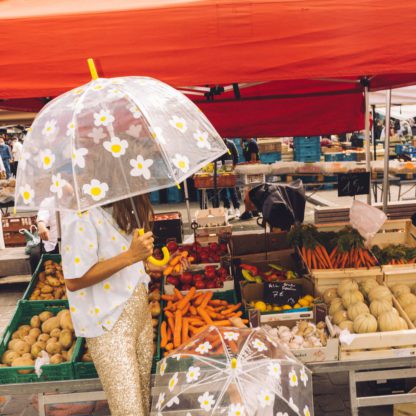 Parapluie – Fleurs