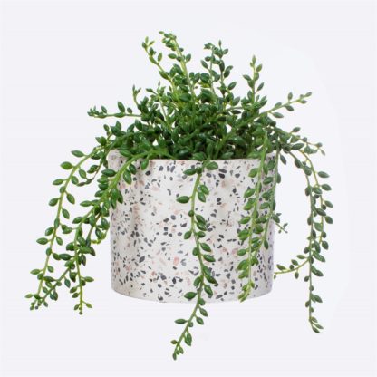 Cache-pot - Terrazzo