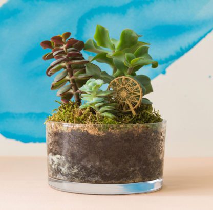 Déco pour terrarium - Mini grande roue