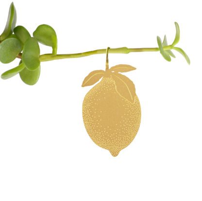 Déco pour plante - Citrons (3pcs)