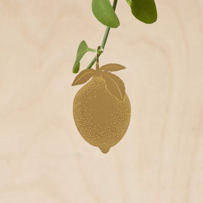 Déco pour plante - Citrons (3pcs)