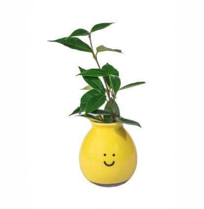 Vase mini - Happy smile