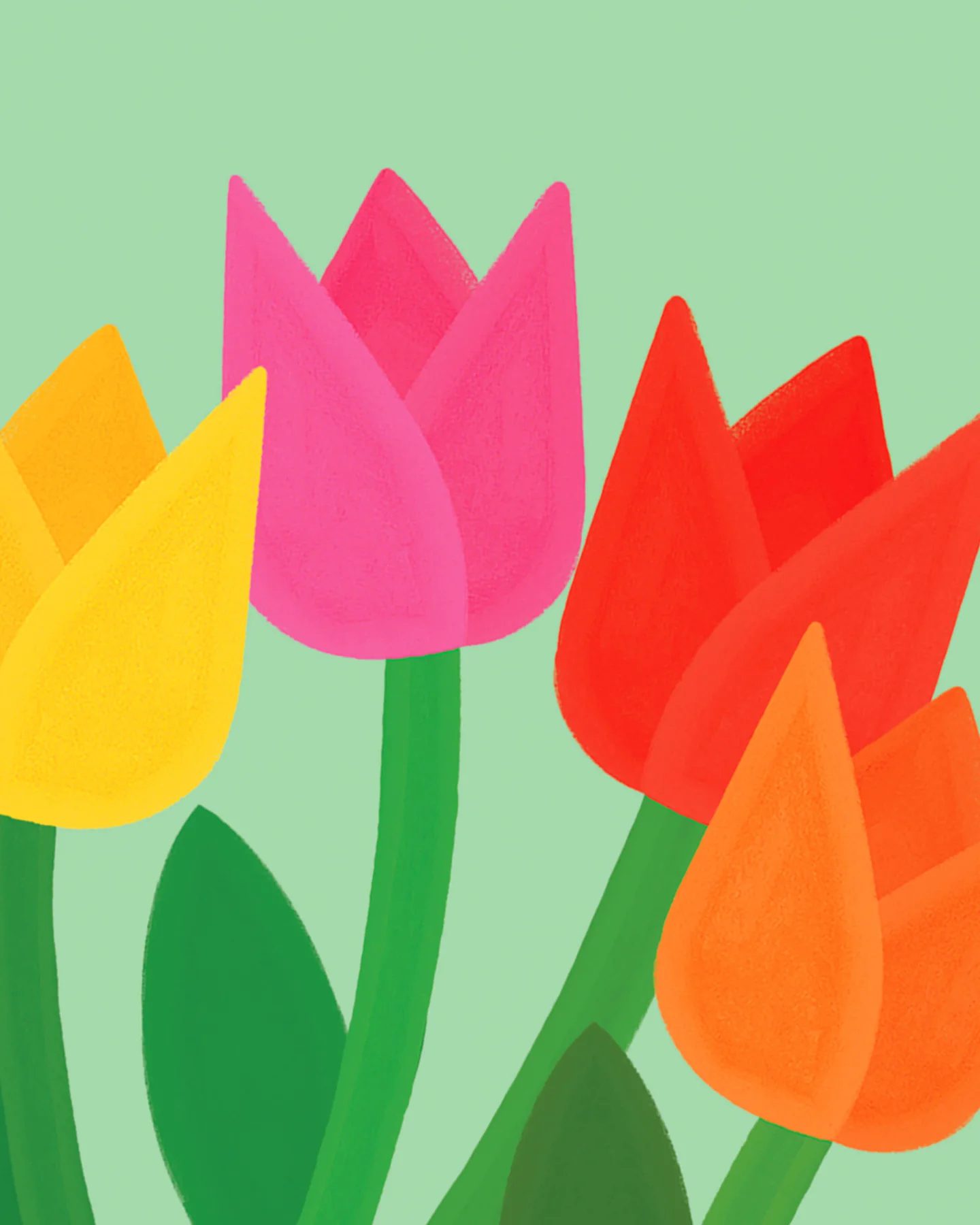Éventail - Tulipes