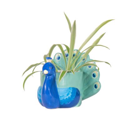 Cache-pot mini - Paon