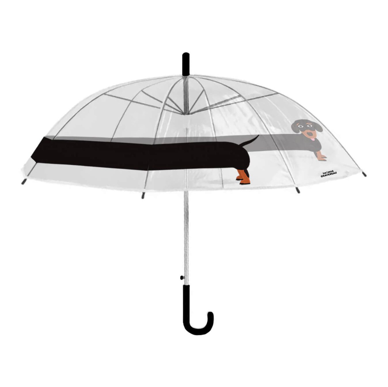 Parapluie - Teckel