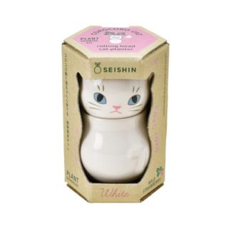 Corocoro - Chat blanc