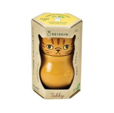 Corocoro - Chat roux