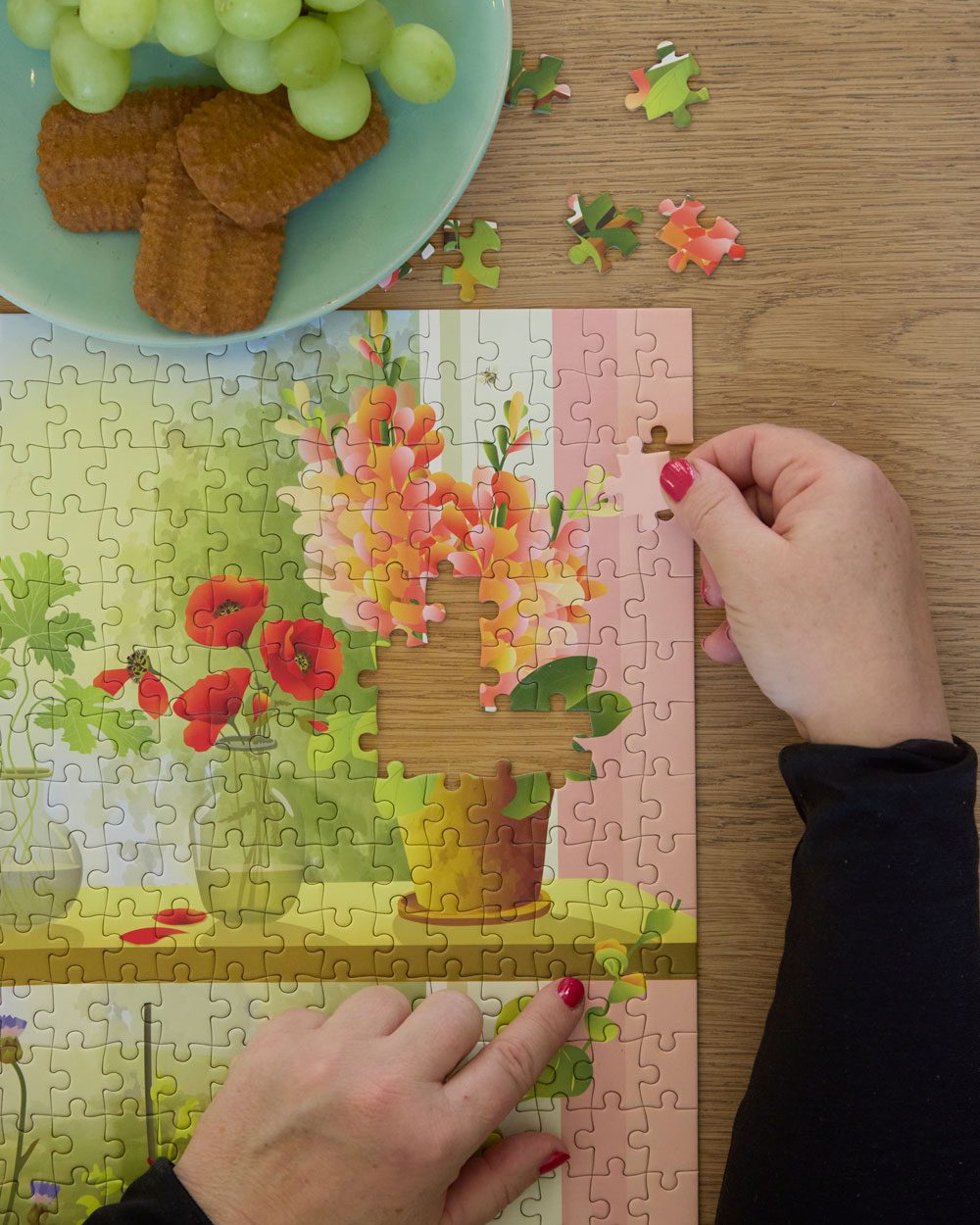 Puzzle - Plants & Me
