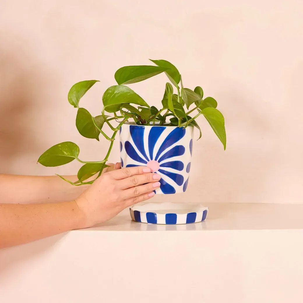 Cache-pot - Lior Flowers